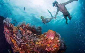 paket-snorkeling-karimunjawa