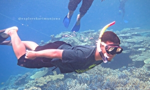 karimunjawa-dari-bandung