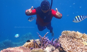 travel karimunjawa
