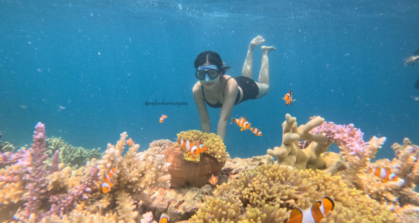 taka sendok karimunjawa
