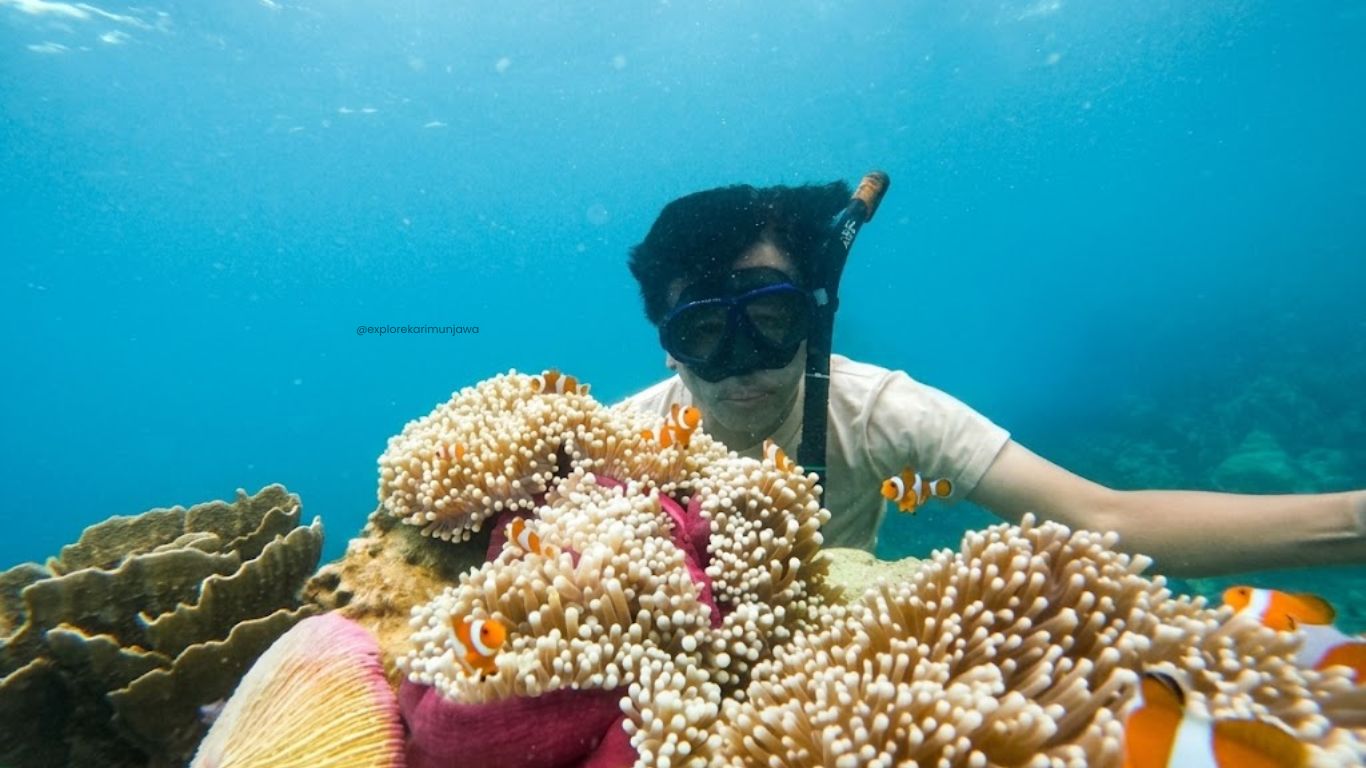 Taka Sendok Karimunjawa